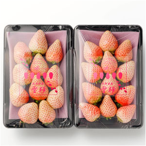 雪桜（粒数お任せ2パック）